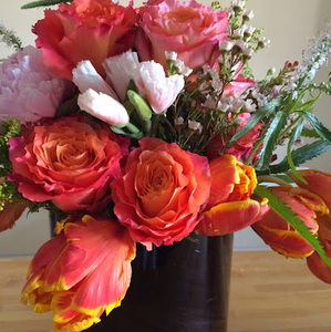 Meet your Posher, Dorina